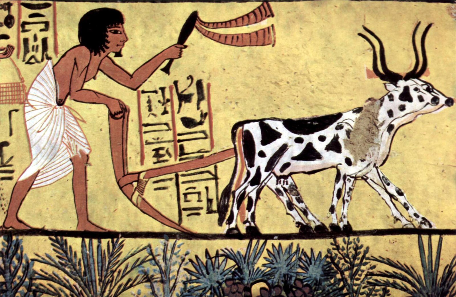 The Invention of Farming: When Humans Stopped Wandering
