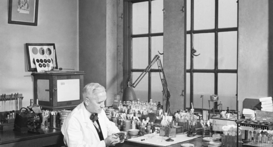 Penicillin: How a Mould Became the First Antibiotic