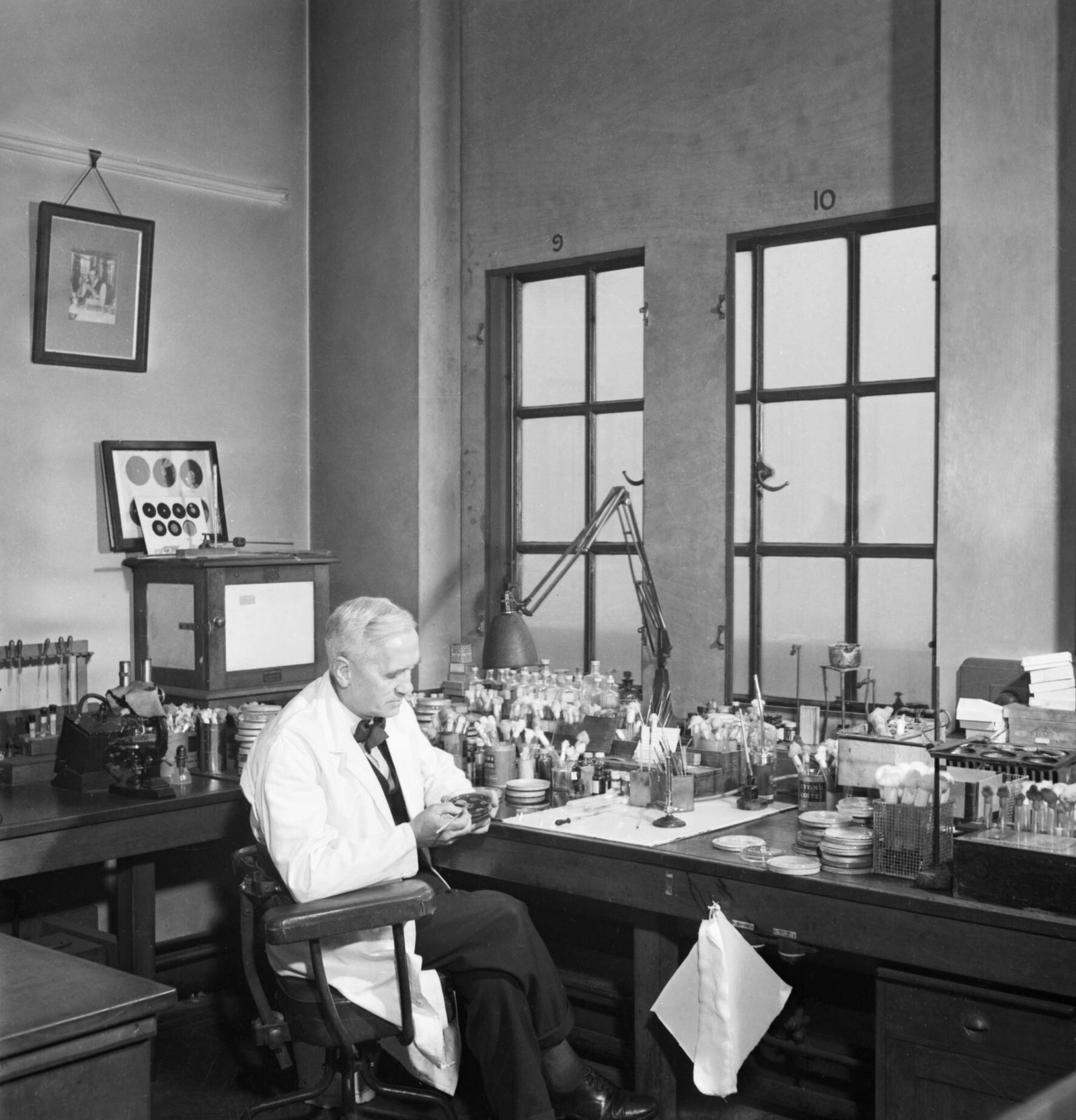 Penicillin: How a Mould Became the First Antibiotic